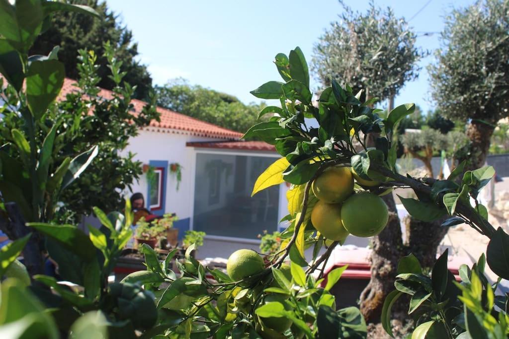 Casa Manuel E Maria Villa Fátima Eksteriør billede